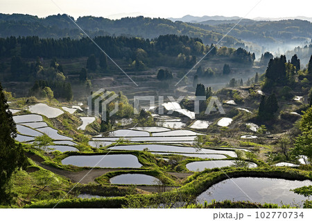 新潟県十日町市の棚田 新潟県十日町市の棚田 102770734