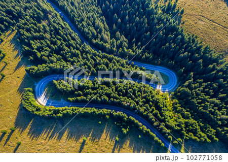 Aerial view of green pine forest and a road 102771058