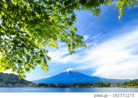 新緑の河口湖と富士山　山梨県河口湖町 102771275