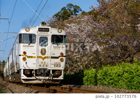 桜並木の脇を快走するJR九州「ふたつ星4047(よんまるよんなな)」 桜並木の脇を快走するJR九州「ふたつ星4047(よんまるよんなな)」 102773576