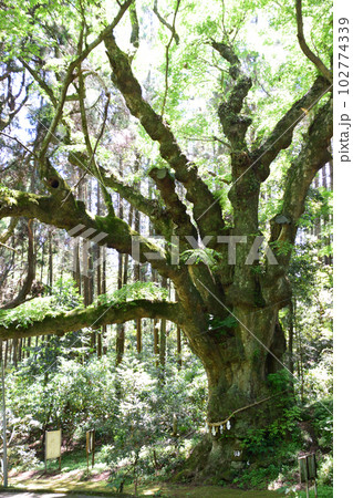 籾山八幡社 102774339