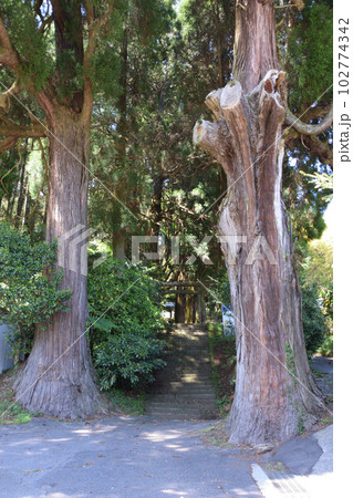 籾山八幡社 籾山八幡社 102774342