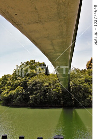 高塚池をまたぐサンシャインブリッジ 102774649