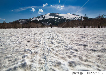 雪の残る尾瀬 雪の残る尾瀬 102774807