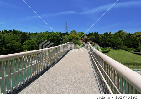 サンシャインブリッジの向こうはキッズランド 102776193