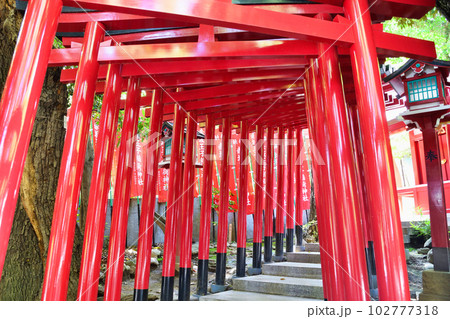 赤坂王子稲荷神社（東京都港区） 102777318