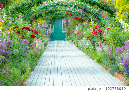 薔薇のアーチをくぐる小径~浜名湖ガーデンパーク 薔薇のアーチをくぐる小径~浜名湖ガーデンパーク 102778030