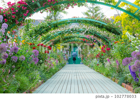 薔薇のアーチをくぐる小径～浜名湖ガーデンパーク 102778033