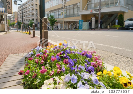 市が尾駅前の歩道沿いの花壇 102778657