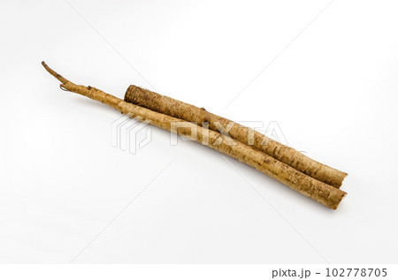 洗いごぼう 102778705