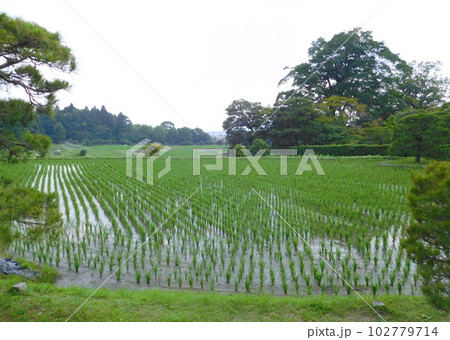 京都　修学院離宮　田園風景 102779714