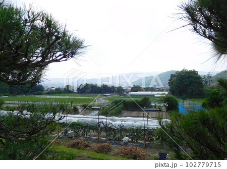 京都 修学院離宮 田園風景 京都 修学院離宮 田園風景 102779715