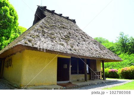 岩橋千塚古墳群 102780308