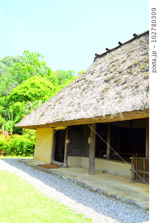 岩橋千塚古墳群 102780309