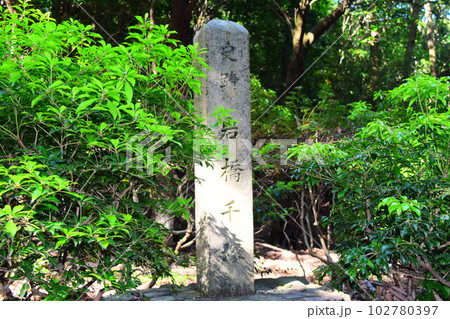 【国指定特別史跡】岩橋千塚古墳群 102780397