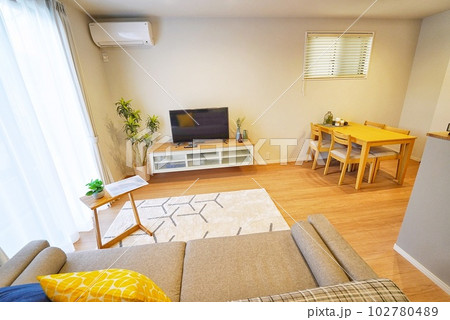 新築住宅の家具家電のある明るいリビングダイニング 102780489