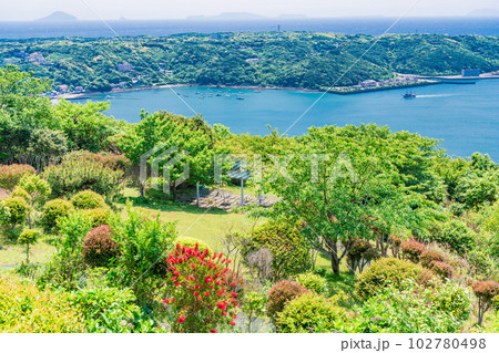 （静岡県）下田市・寝姿山山頂から眺める下田湾、遊覧船サスケハナ 102780498