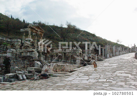 トルコ　エフェソス都市遺跡 102780501