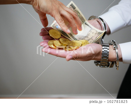 違法な取引で逮捕された犯罪者 違法な取引で逮捕された犯罪者 102781825