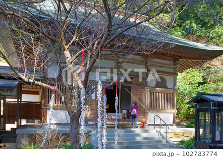 福岡県宗像市の真言宗御室派鎮國寺本堂 福岡県宗像市の真言宗御室派鎮國寺本堂 102783774