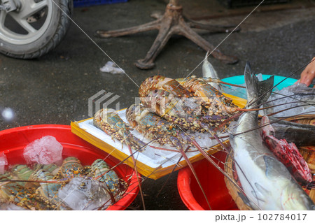 Lobster, crayfish, sea fish sold at Dam market, Nha Trang City Lobster, crayfish, sea fish sold at Dam market, Nha Trang City 102784017
