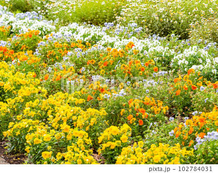春の美しい景色　カラフルな満開の花壇 102784031