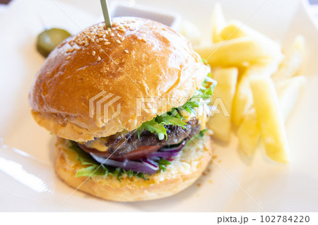 おいしいハンバーガー 102784220