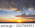 カモメと夕日 102784953