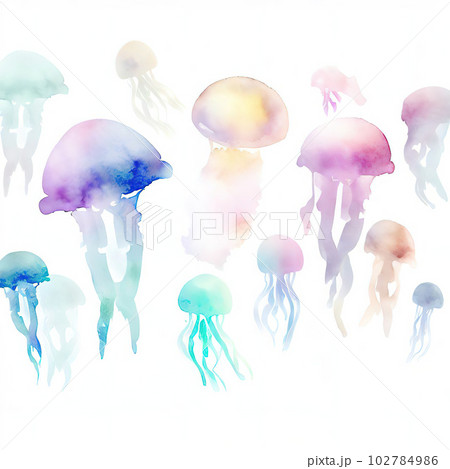 jellyfish watercolor style jellyfish watercolor style 102784986
