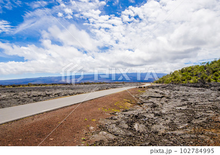 ハワイ　ハワイ島　固まった溶岩のむこうにあるマウナロア 102784995