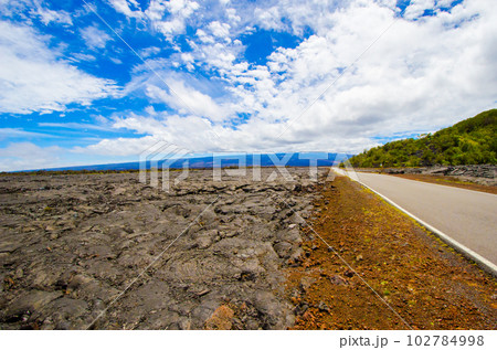 ハワイ　ハワイ島　固まった溶岩のむこうにあるマウナロア 102784998