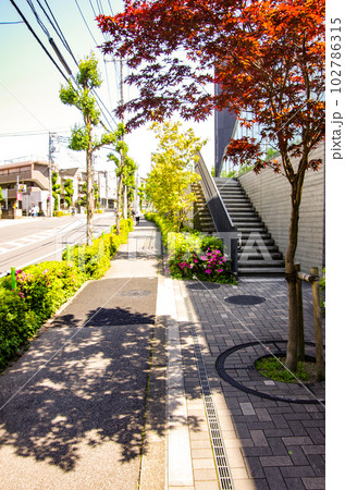 自宅近くの急な坂道　歩道　街路樹 102786315