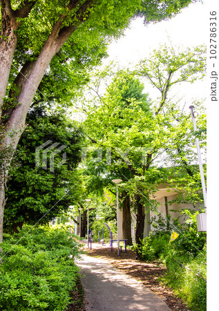 小豆沢公園の出入り口 小豆沢公園の出入り口 102786316