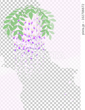 藤の花房を描いたイラスト 藤の花房を描いたイラスト 102786672