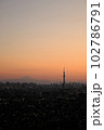 千葉県から眺める富士山とスカイツリーの競演 102786791