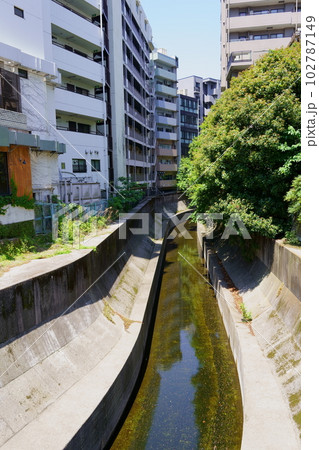 渋谷川／恵比寿駅付近の渋谷橋より（東京都渋谷区） 102787149