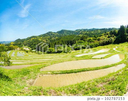 初夏の大山千枚田 対角魚眼レンズで撮った田植えが終わった水田 初夏の大山千枚田 対角魚眼レンズで撮った田植えが終わった水田 102787153