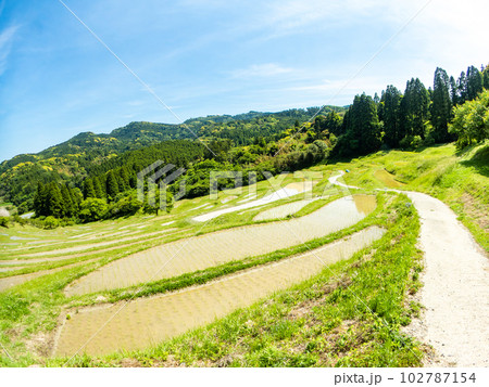 初夏の大山千枚田 対角魚眼レンズで撮った田植えが終わった水田 初夏の大山千枚田 対角魚眼レンズで撮った田植えが終わった水田 102787154