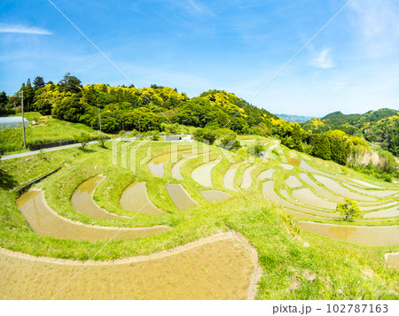 初夏の大山千枚田　対角魚眼レンズで撮った田植えが終わった水田 102787163