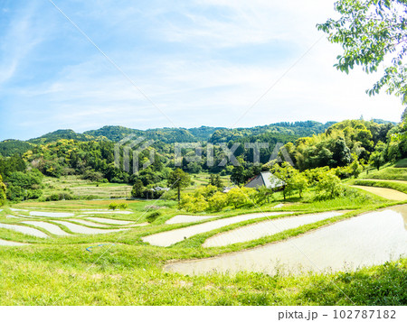 初夏の大山千枚田　対角魚眼レンズで撮った田植えが終わった水田 102787182