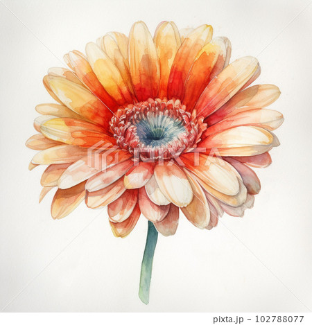 オレンジ色のガーベラの花の水彩画風イラスト：AI生成のイラスト素材