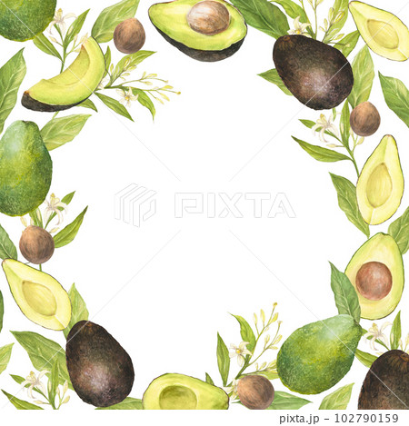 Watercolor illustration of wreath of appetizing green sliced hass avocados with pit, leaves and flowers, isolated. Circular composition 102790159