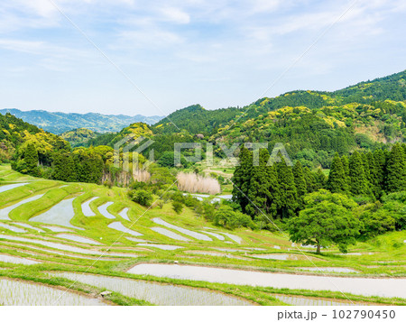 初夏の大山千枚田　田植えが終わった水田 102790450
