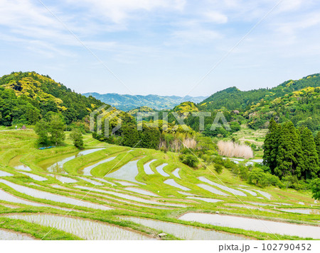 初夏の大山千枚田　田植えが終わった水田 102790452