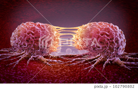 Metastasis Cancer Cell 102790802