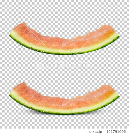 西瓜皮插畫逼真 西瓜皮插畫逼真 102791006