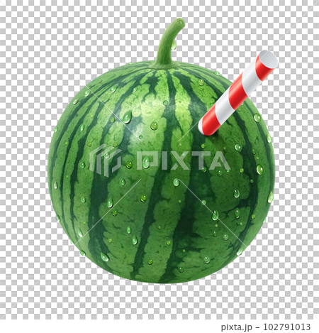 スイカのイラスト リアル スイカのイラスト リアル 102791013