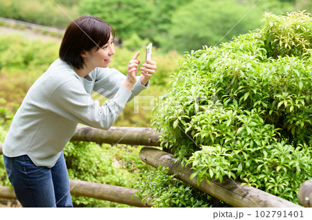 公園の緑をスマホのカメラで撮影する女性 102791401
