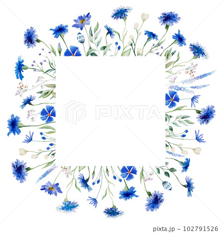 Watercolor blue cornflowers and wildflowers square frame, summer wedding isolated illustration Watercolor blue cornflowers and wildflowers square frame, summer wedding isolated illustration 102791526