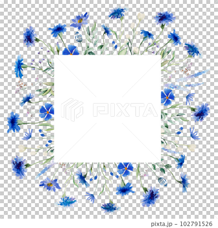 Watercolor blue cornflowers and wildflowers square frame, summer wedding isolated illustration Watercolor blue cornflowers and wildflowers square frame, summer wedding isolated illustration 102791526